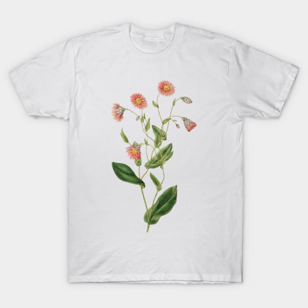 Delicate pink botanical T-Shirt by chris@christinearnold.com